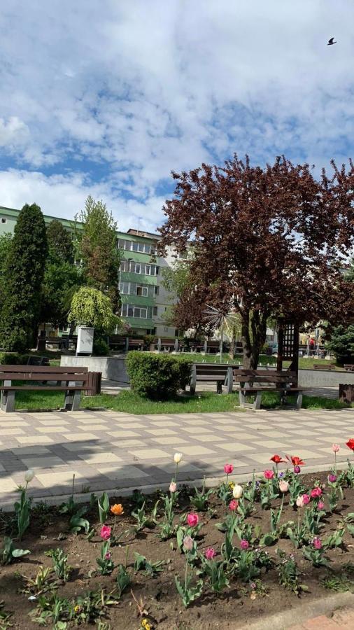 Best Apartment City Hall Suceava Extérieur photo