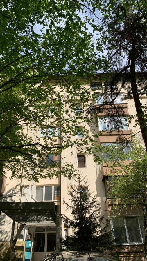Best Apartment City Hall Suceava Extérieur photo