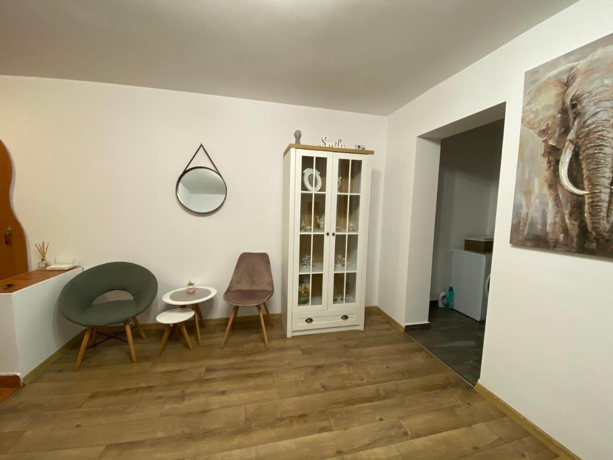Best Apartment City Hall Suceava Extérieur photo