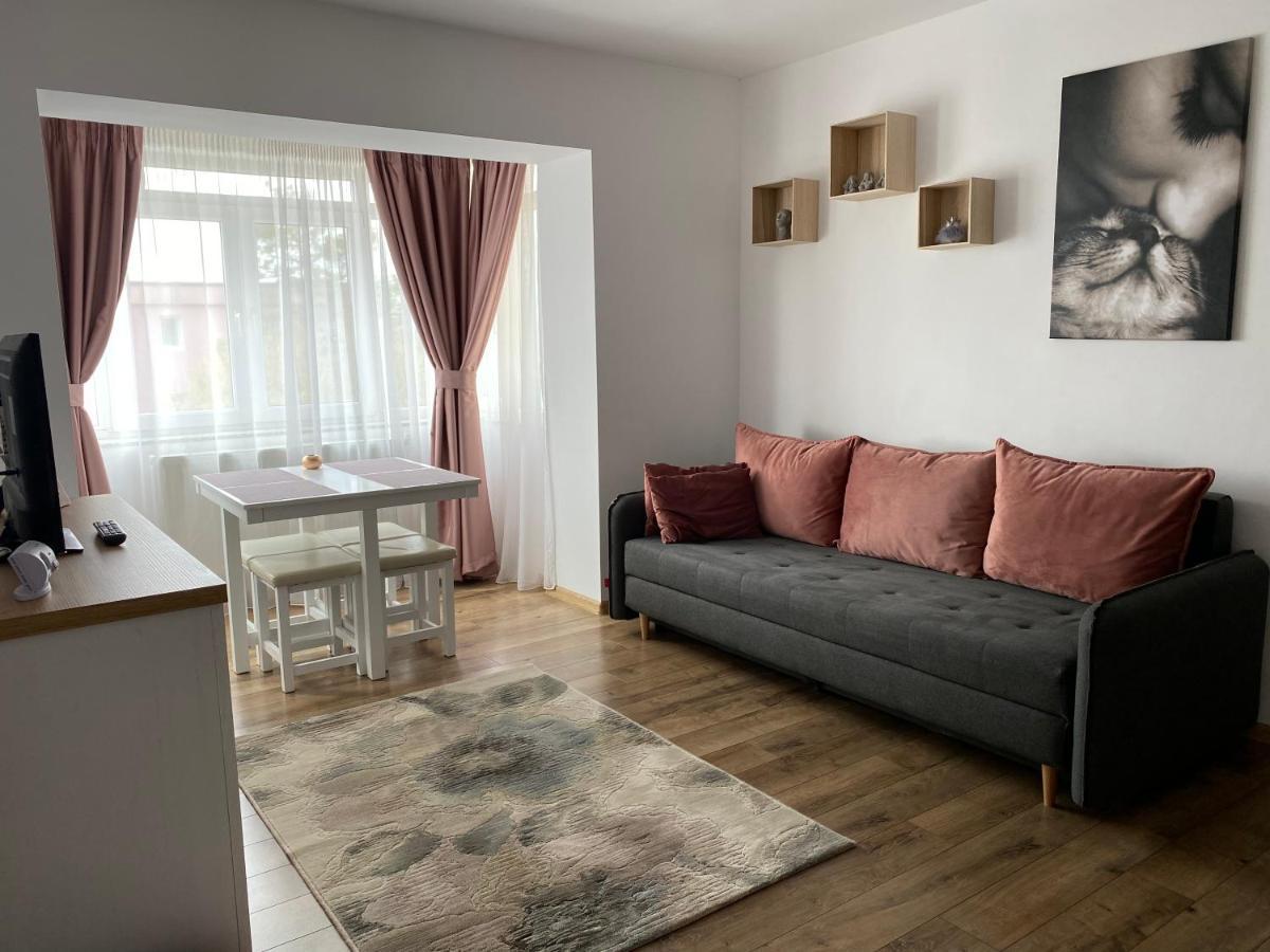 Best Apartment City Hall Suceava Extérieur photo