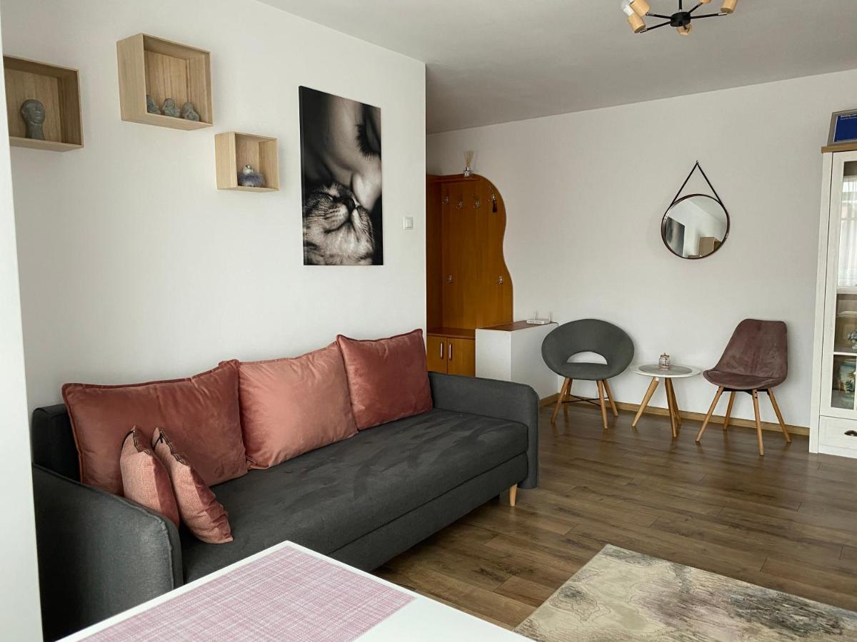 Best Apartment City Hall Suceava Extérieur photo